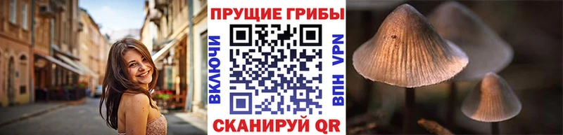 Псилоцибиновые грибы GOLDEN TEACHER  купить  сайты  Заречный 
